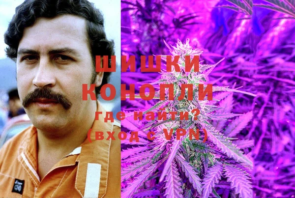 PSILOCYBIN Абаза