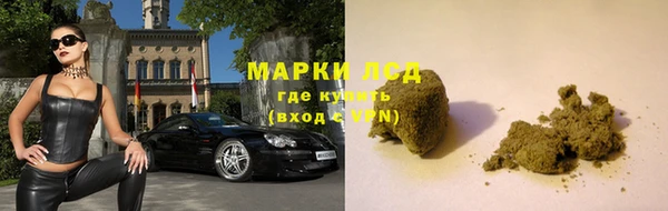 PSILOCYBIN Абаза