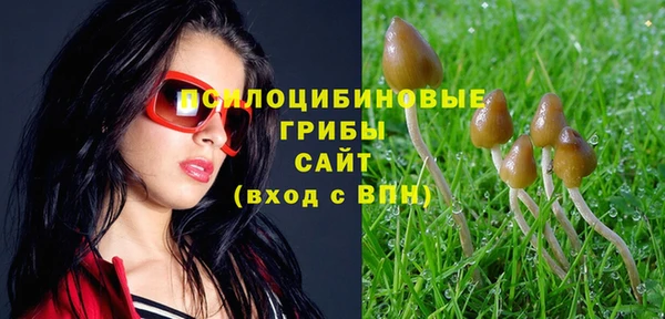MESCALINE Абинск