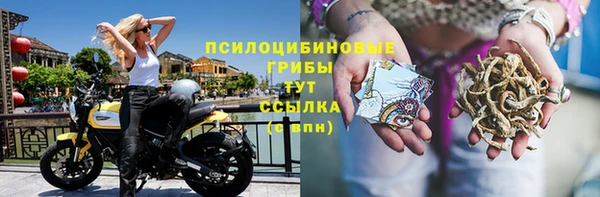 PSILOCYBIN Абаза