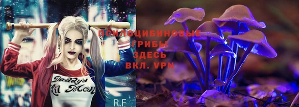 гидра Абдулино