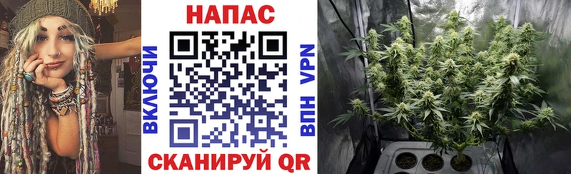 кракен ССЫЛКА  Сертолово  МАРИХУАНА гибрид  где найти  